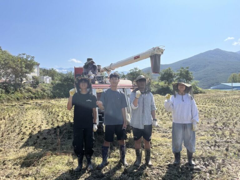 드디어 2025년 햅쌀이 나왔습니다.
