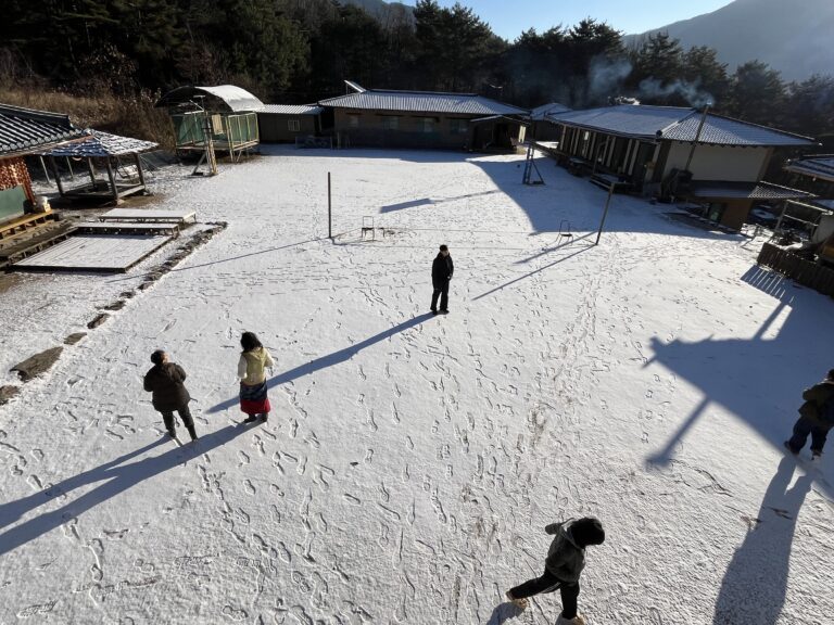 첫눈이 왔어요^^