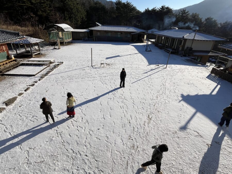첫눈이 왔어요^^