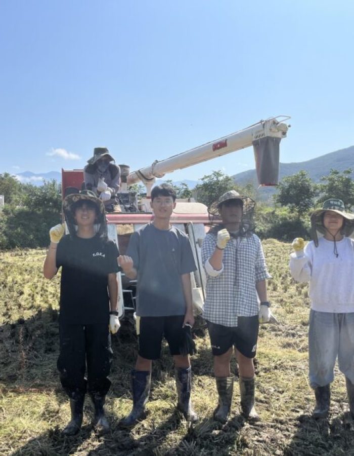 벼베기